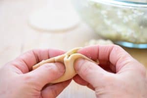 Shaping and closing a dumpling wrapper