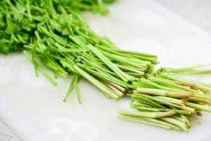 Minari (Korean watercress) being cut into 2-inch pieces