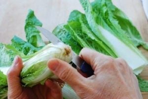 Putbaechu (young cabbage) doenjang muchim