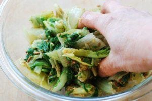 Putbaechu (young cabbage) doenjang muchim
