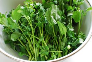 a bunch of watercress in a bowl to be washed